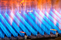 Newpool gas fired boilers